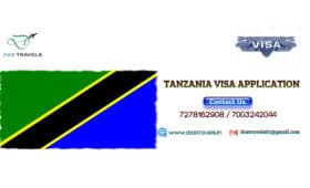 Tanzania visa agent