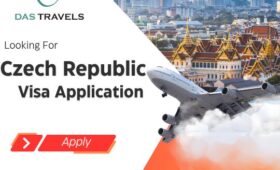 Schengen visa consultant